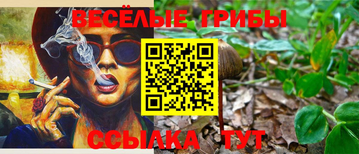 Галлюциногенные грибы Psilocybine cubensis Салехард