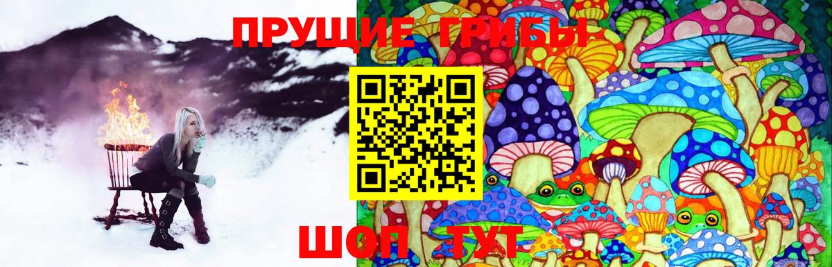 Псилоцибиновые грибы Magic Shrooms  Вход с VPN  Салехард  Псилоцибиновые грибы Magic Shrooms 